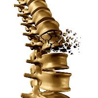 Total Spine & Brain Institute image 5